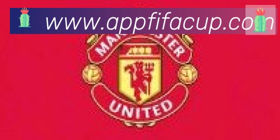 2026世界杯APP下载合作伙伴